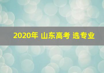 2020年 山东高考 选专业